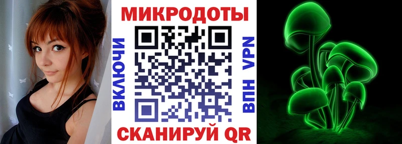 Галлюциногенные грибы MAGIC MUSHROOMS  Купить закладки  Каменка 